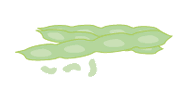 melon